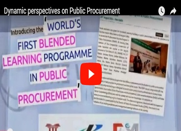 Dynamic perspectives on Public Procurement